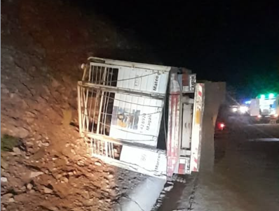 MENDOZA | CINCO CABALLOS FALLECIERON POR EL VUELCO DE EL CAMION QUE LOS TRANSPORTABA