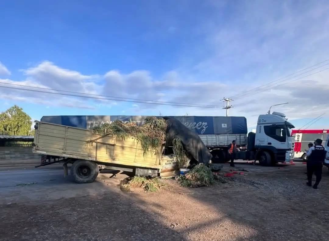 Maipú | Dos camiones chocaron frente a bodega Santa Julia